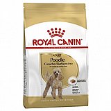 Royal Canin רויאל קנין 7.5 ק"ג מזון יבש לכלבים בוגרים מגזע פודל Royal Canin רויאל קנין 7.5 ק"ג מזון יבש לכלבים בוגרים מגזע פודל