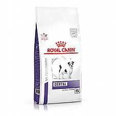 Royal Canin ����� ���� 2 �"� ���� ����� ��� ������ ������ ���� ��� �� ����� ������ �������� (���� ������ ����)