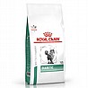 Royal Canin רויאל קנין 3.5 ק