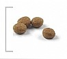 Royal Canin רויאל קנין 10 ק