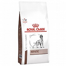 Royal Canin ����� ���� 12 �"� ���� ����� ��� ������ ������ �� ����� ������� ��� (�����)