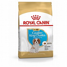 Royal Canin ����� ���� 1.5 �"� ���� ��� ������ ����� ���� ���� �'����