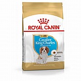 Royal Canin רויאל קנין 1.5 ק"ג מזון יבש לכלבים גורים מסוג קינג צ'ארלס Royal Canin רויאל קנין 1.5 ק"ג מזון יבש לכלבים גורים מסוג קינג צ'ארלס