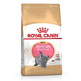 Royal Canin רויאל קנין 2 ק"ג מזון יבש לחתולים גורים מגזע בריטי Royal Canin רויאל קנין 2 ק"ג מזון יבש לחתולים גורים מגזע בריטי