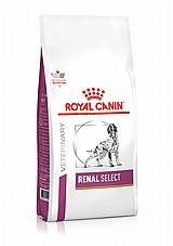 Royal Canin ����� ���� 10 �"� ���� ����� ��� ������ ������ ������ ������ ����� ���� (���� ����)