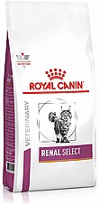 Royal Canin ����� ���� 4 �"� ���� ����� ��� ������� (����� ����)
