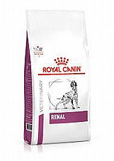Royal Canin ����� ���� 14 �"� ���� ����� ��� ������ ������ �� ����� ������ ������ (����)