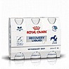 Royal canin רויאל קנין 3*200 מ