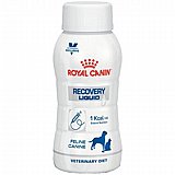 Royal canin רויאל קנין 200 מ"ל נוזל רפואי להתאוששות לכלבים ולחתולים מארז של 3 יחידות (רקברי) Royal canin רויאל קנין 200 מ"ל נוזל רפואי להתאוששות לכלבים ולחתולים מארז של 3 יחידות (רקברי)
