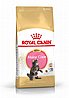 Royal Canin רויאל קנין 10 ק'ג מזון יבש לגורי חתולים מגזע מיין קון