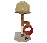 ���� ����� �����