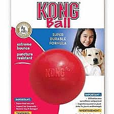 Kong Ball ���� ��� ���� ���� ���� M