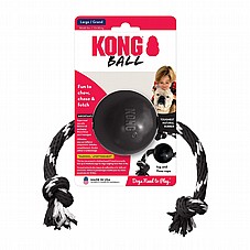 Kong ���� - ���� �� ��� ������� ���� L