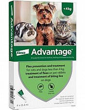 advantage ��������' �������  ������ �������  ���� ��� �� 4 �"�
