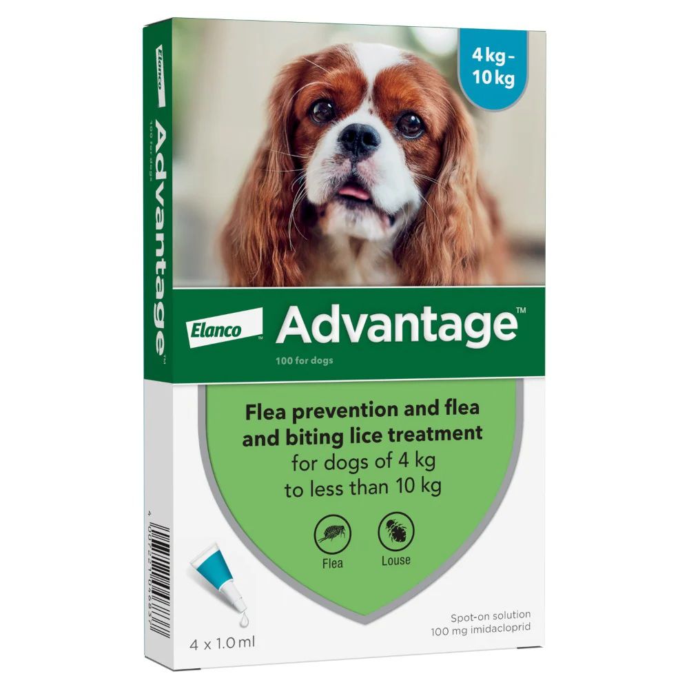 Advantage אמפולות - טיפול בפרעושים וקרציות לכלבים