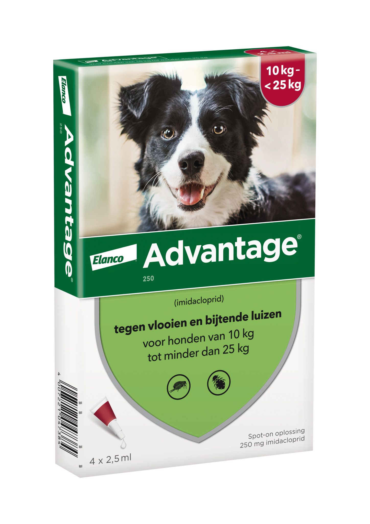 Advantage אמפולות - טיפול בפרעושים וקרציות לכלבים