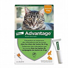 advantage ��������' �������  ������ ������� ����� �� 4 �"�