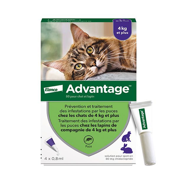 Advantage אמפולות - טיפול בפרעושים וקרציות לחתולים