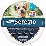 ���� ����� ��� ������� �������  - ���� ����� �� 8 �"�