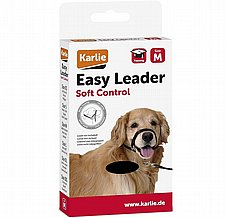  Easy Leader ���� ���� ���� ���� ��� ������ ������ M