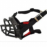 ����� �������� ���� 5