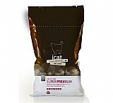 ��� ����� ������ ������ 18 ���� 