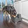 Pet safe פט סייף מזרקה לחתול/כלב