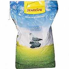 BENELUX ������ 20 �"� ���� ������ ����� ��� 