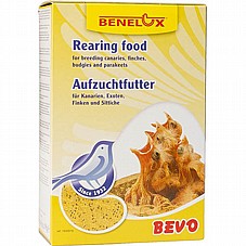  BENELUX ������ 1 �"� ��� ���� ���� �����