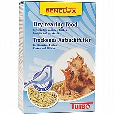 BENELUX ������ 1 �"� ���� ��� �� (�����)