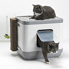 Moderna CAT CONCEPT ������ �� ������ ������� ������ �����