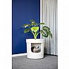 modern Hidden Planter ������ ����� ����� ������� ������ �����