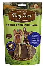 Dog fest ��� ��� 55 ��� ���� ����� ���� �� ���