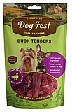 Dog fest ��� ��� 55 ��� ���� ������ ���� �����