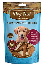 Dog fest ��� ��� 90 ��� ���� ����� ���� �� ��� ������