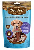Dog fest ��� ��� 90 ��� ���� ��� ������ ������ ����� ������