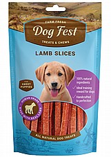 Dog fest ��� ��� 90 ��� ���� ������ ��� ������