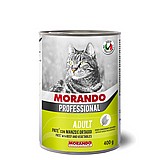 Morando  ������ 400 ��� ���� ���� (�����) ����� ���� ��� ������