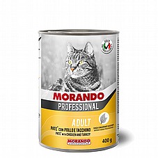 Morando ������ 400 ��� ���� ���� (�����) ����� ���� ��� �����