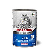 Morando ������ 400 ��� ���� ���� (�����) ����� ���� ���� ������