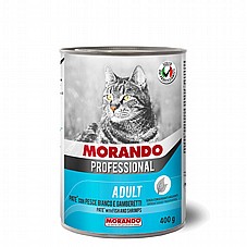 Morando ������ 400 ��� ���� ���� (�����) ����� ���� �� ��� �������