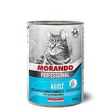 Morando ������ 400 ��� ���� ���� (�����) ����� ���� �� ��� �������