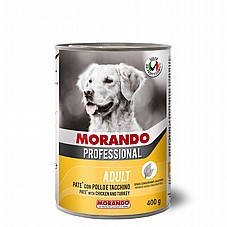 Morando ������ 400 ��� ���� ���� (�����) ���� ���� ��� �����