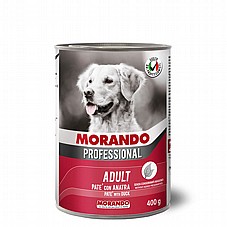 Morando ������ 400 ��� ���� ���� (�����) ���� ���� �����