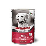 Morando ������ 400 ��� ���� ���� (�����) ���� ���� �����