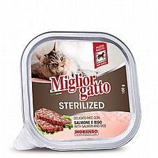 Migliorgatto �������� ���� 100 ��� ���� ���� (����) ����� ���� ����� ����� (�������)