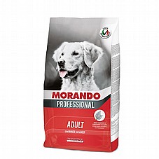 MORANDO ������ 15 �"� ���� ��� ������ ������ ���� ���