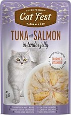 Cat Fest �� ��� 70 ��� ���� ���� (����) ������� ���� ���� ���� ������