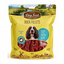  Dog Fest ��� ��� 500 ��� ���� ���� ��� ������ �����