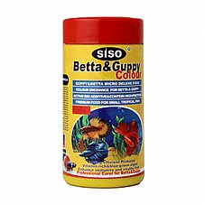 Siso ���� 250 �"� ���� ���� ��� ����� 